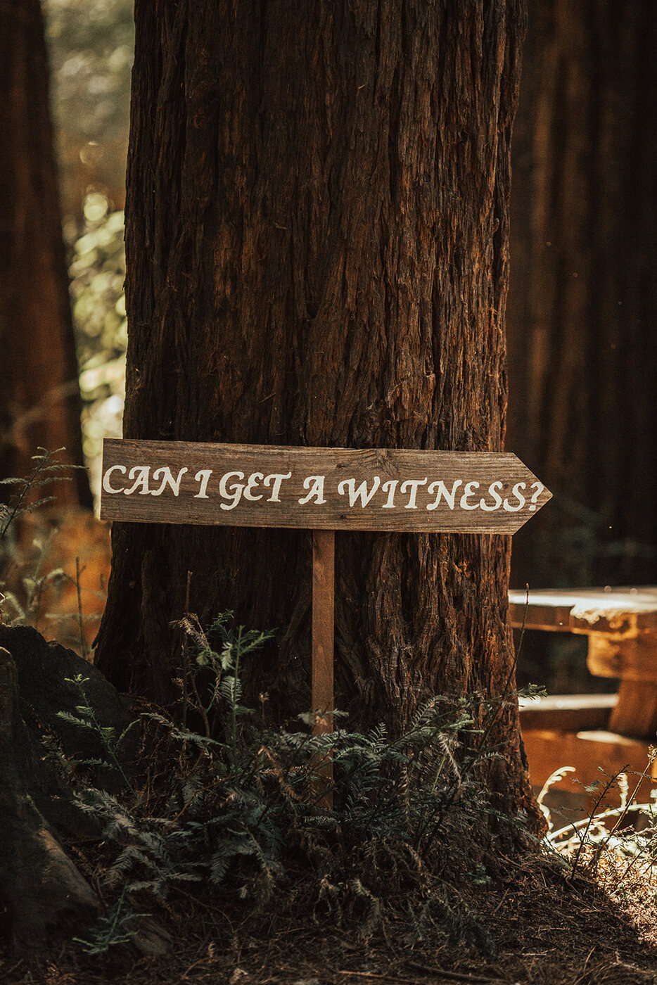 Wood sign reading Can I get a witness